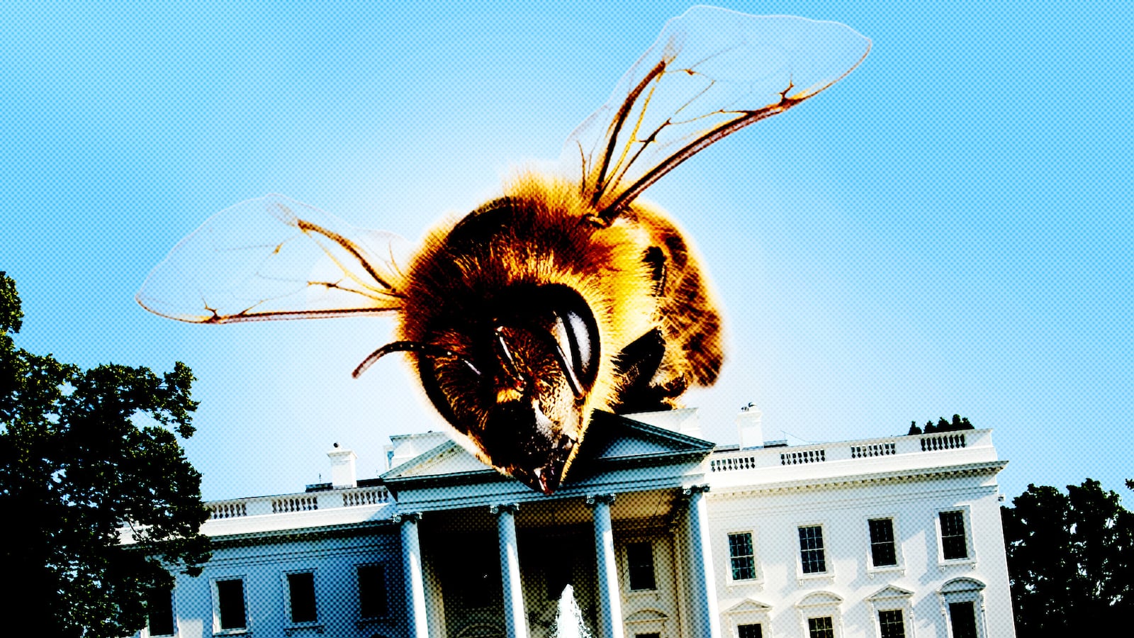Giant bee on the roof of the White House.