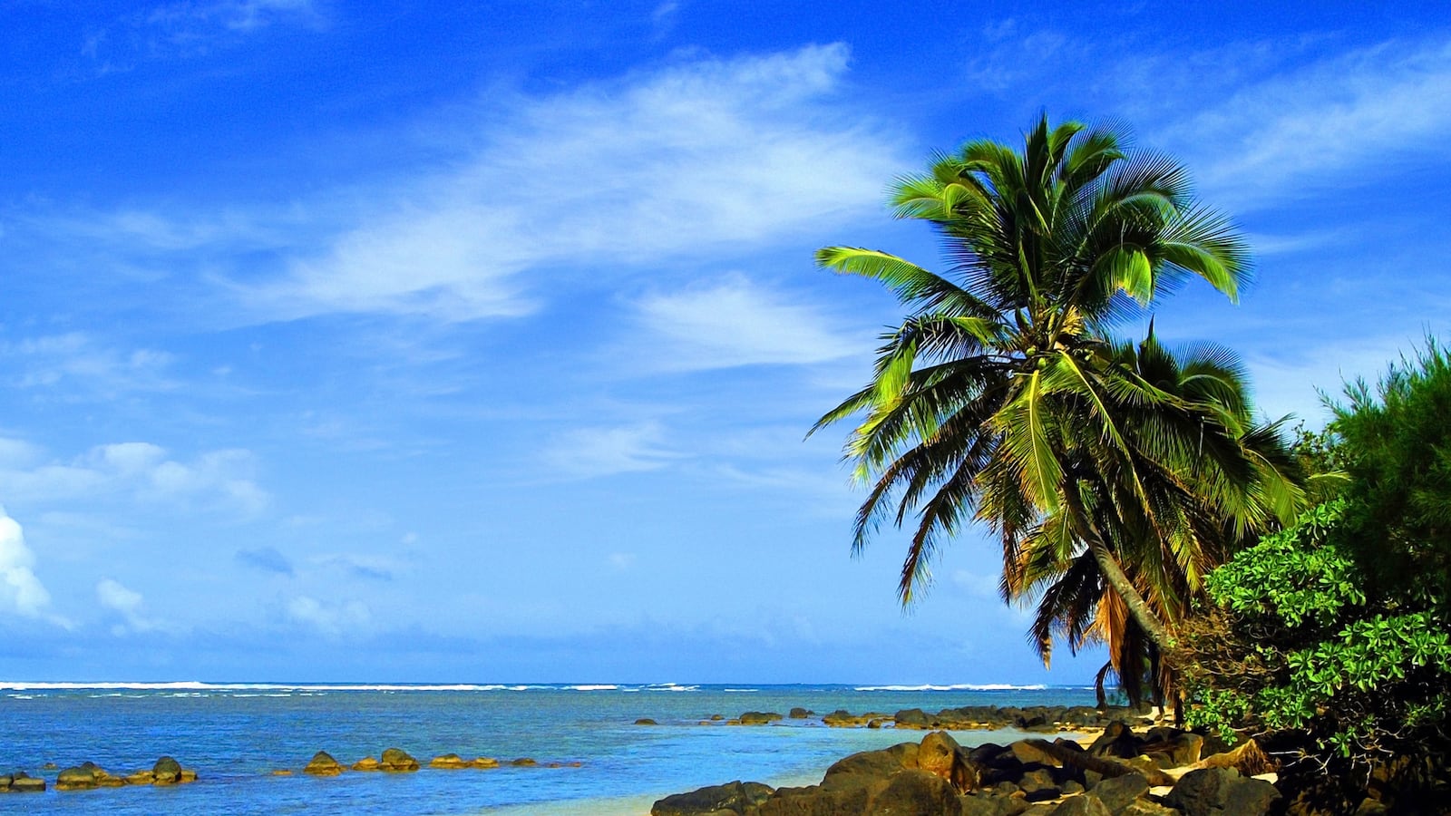 articles/2013/10/07/i-can-t-shake-hawaii-an-ode-to-returning-to-places-you-ve-been-before/131006-klein-travel-tease_gyc0ck