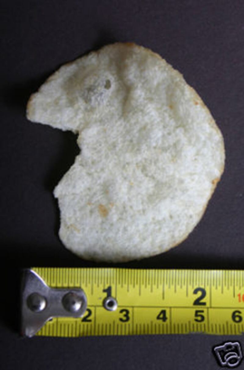 galleries/2011/04/20/who-s-that-in-my-food/faces-in-food---elvis-chip_kanuzv