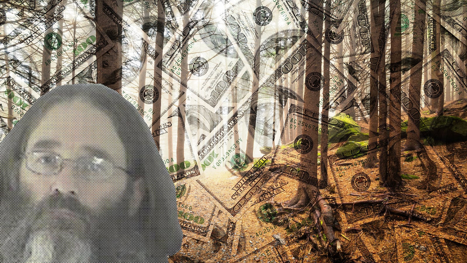 articles/2015/09/27/a-killer-hiding-on-the-appalachian-trail/150926-nestel-trail-killer-tease_qt3tof