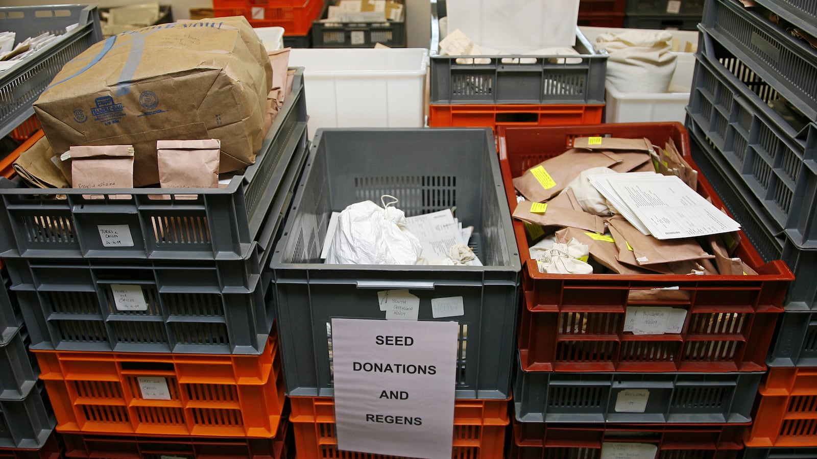 GettyImages-91904496_pijjph