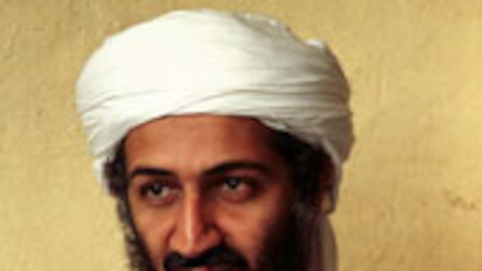 articles/2010/04/16/bin-ladens-death-wish/pape-osama-book_94887_captna