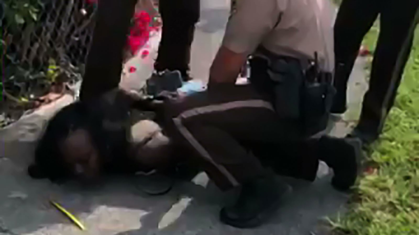 So_yesterday_me_and_my_friend_Adri_Green_were_minding_our_business_and_this...-10157883687332069_wniedj