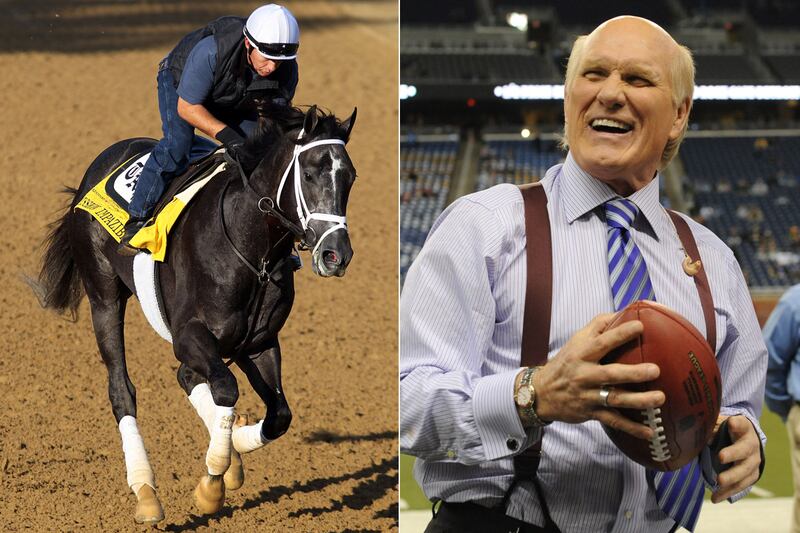 galleries/2012/05/04/steven-spielberg-mc-hammer-and-more-stars-whove-owned-kentucky-derby-horses-photos/stars-derby-horses-bradshaw_k3nlbo