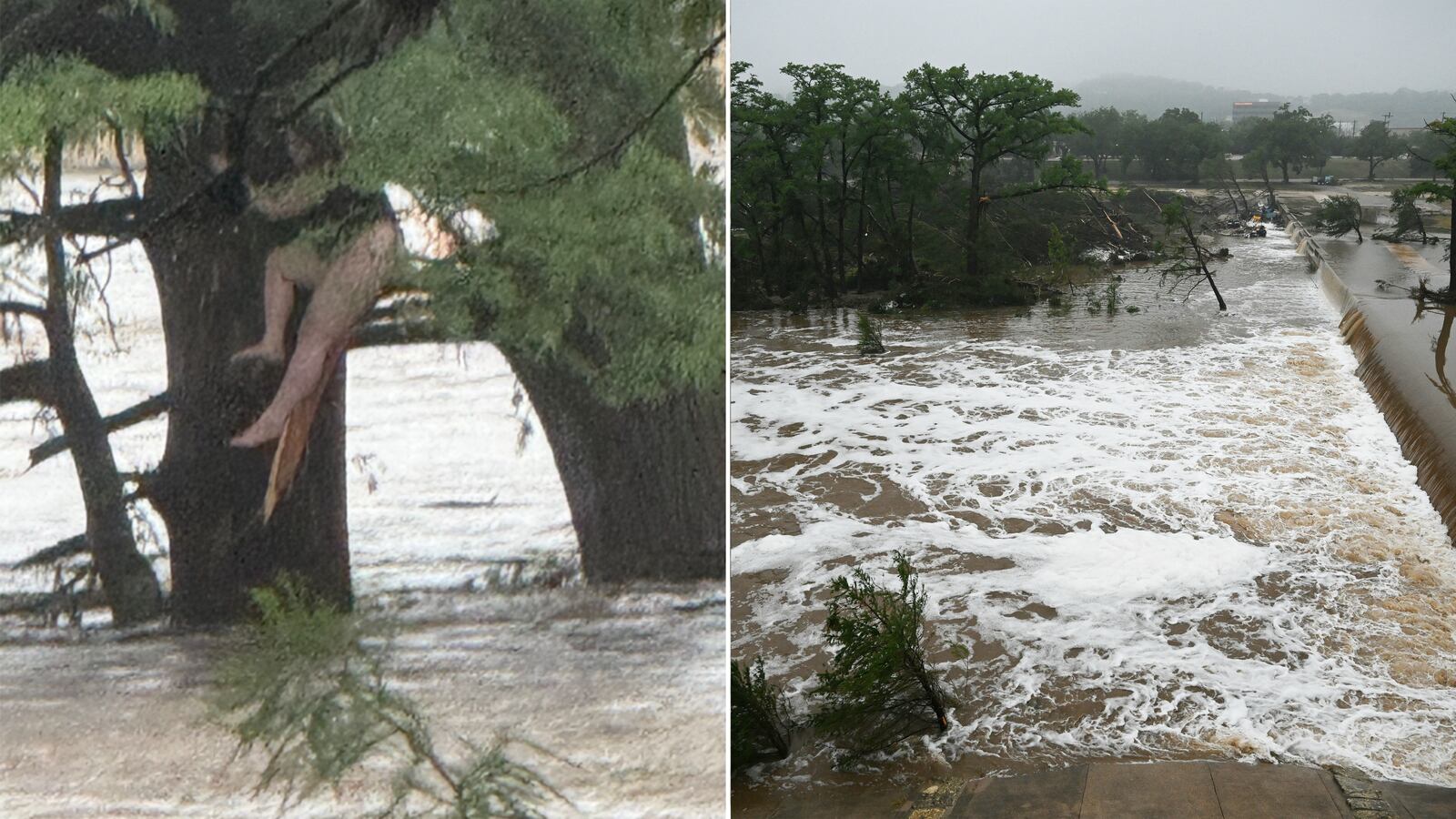 Woman stuck in tree, Guadalupe River