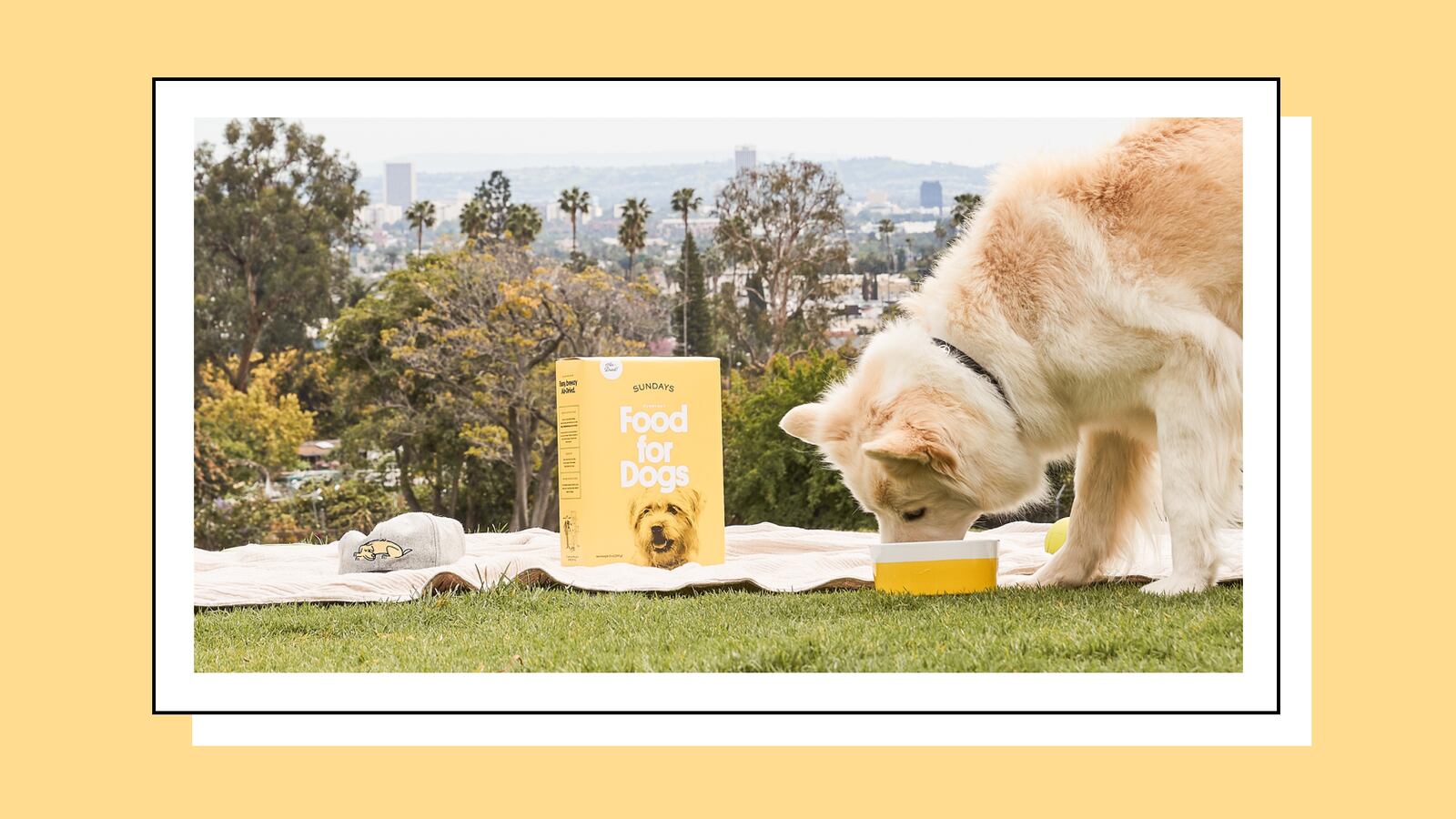 Sundays-Dog-Food-Air-Fried_msp2y5