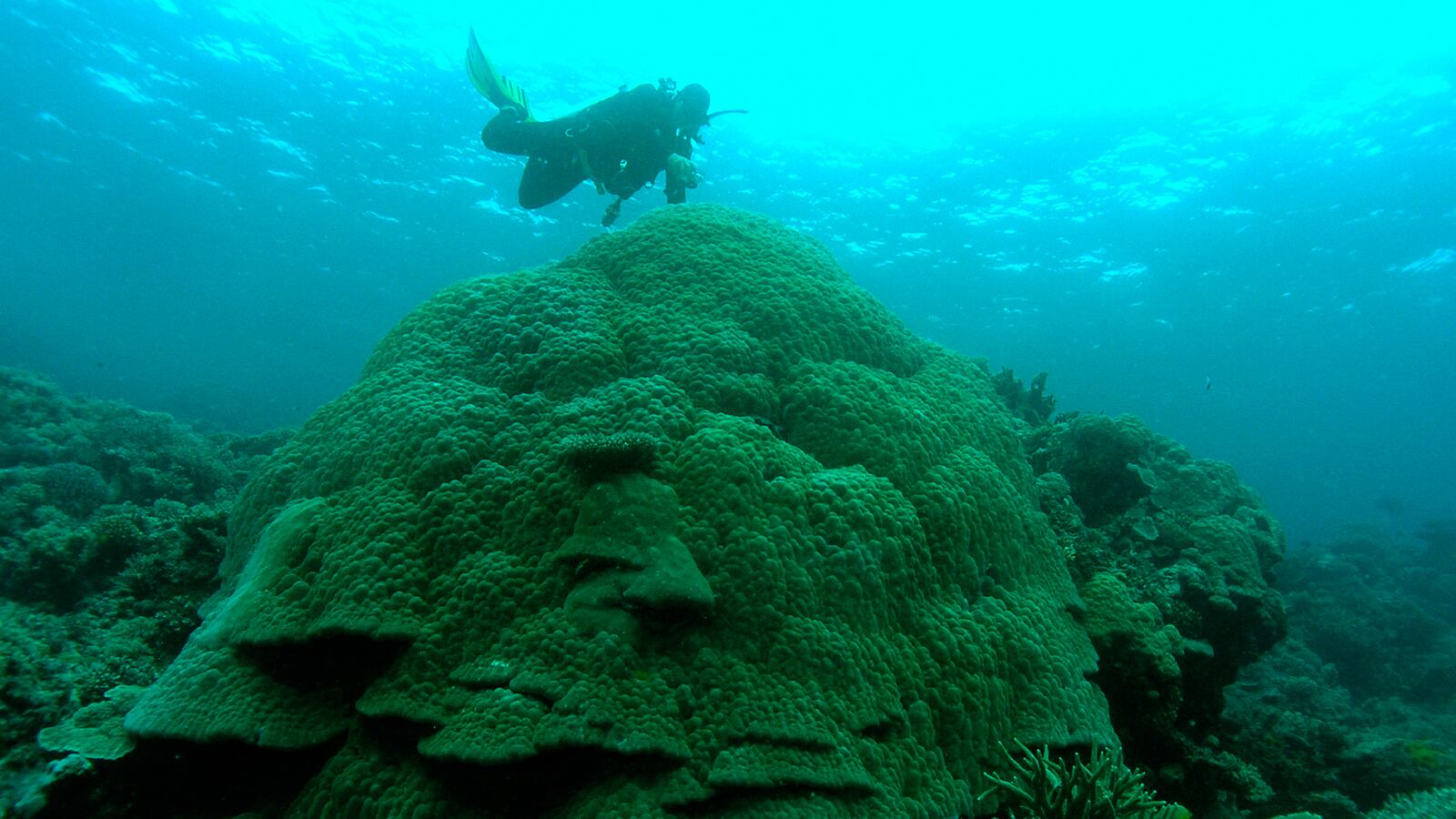 cheats/2014/01/31/aus-to-dump-mud-in-barrier-reef/140131-great-barrier-cheat_npdrji