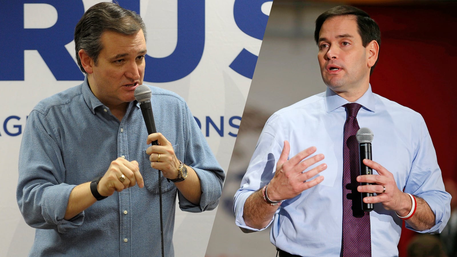 articles/2016/02/01/marco-rubio-vs-ted-cruz-is-a-blood-sport/160131-navarrette-cruz-rubio-tease_eha6e5