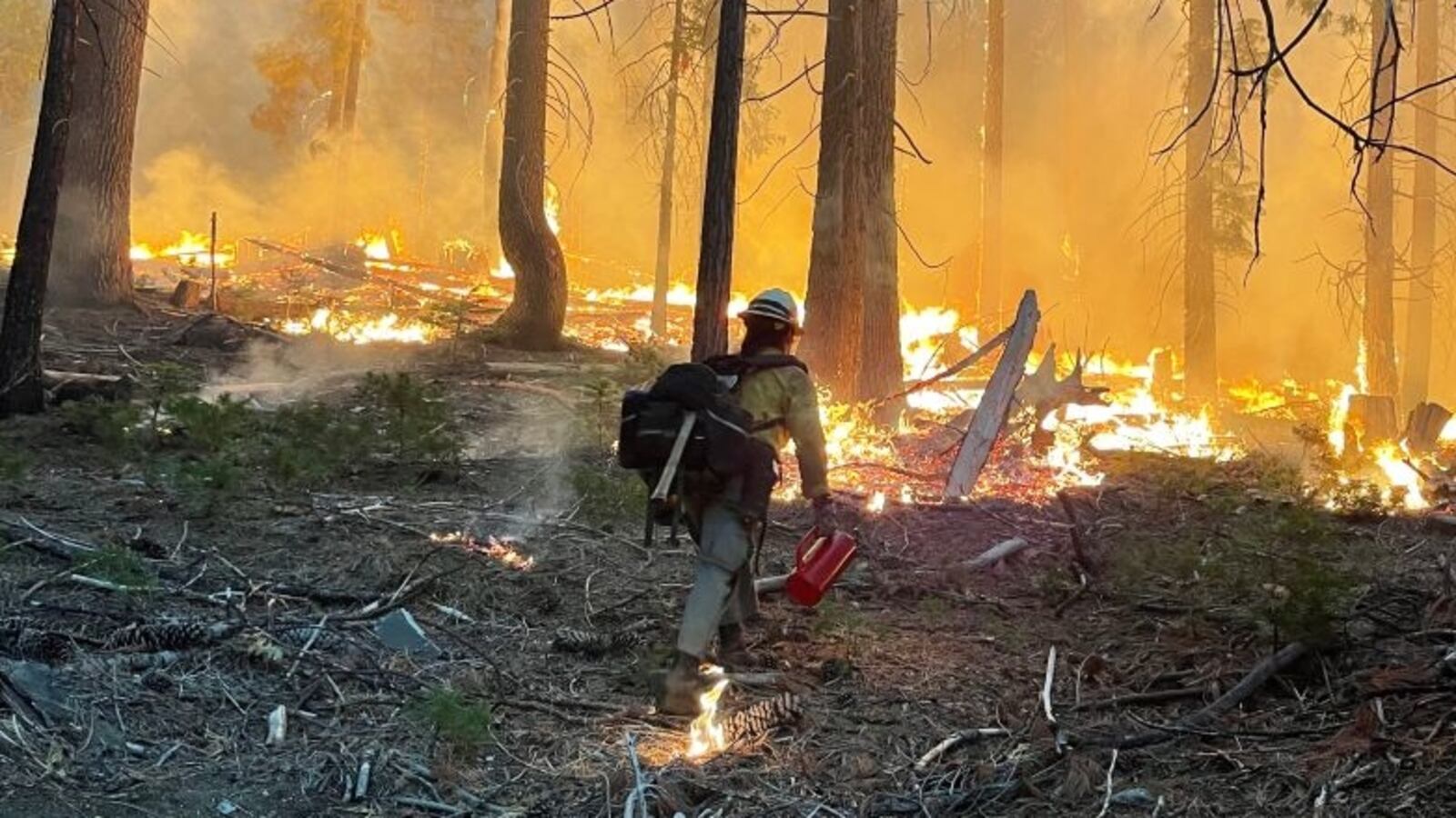 GettyImages-1241847946_onc7e2