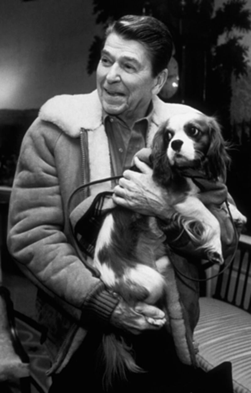 galleries/2009/04/12/presidential-pets/presidential-pets---ronald-reagan_ucfuq2