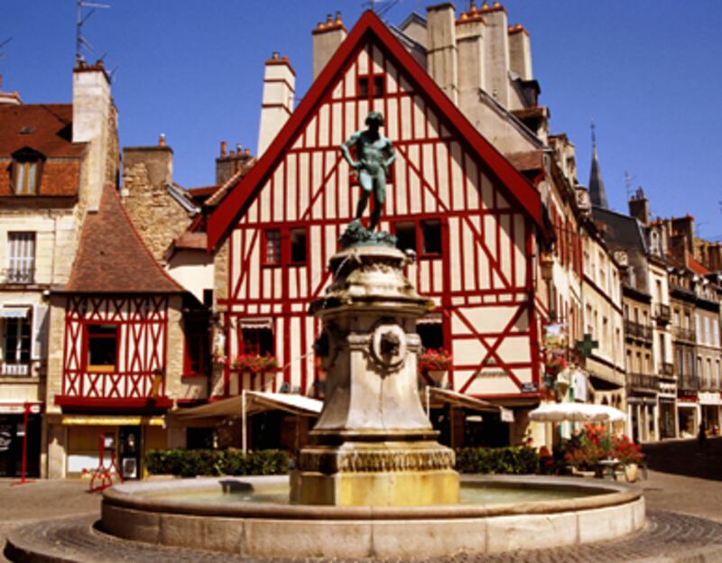 articles/2010/11/03/dijon-france-mustard-is-not-the-only-food-legacy/hannon-dijon_137990_jyimnp