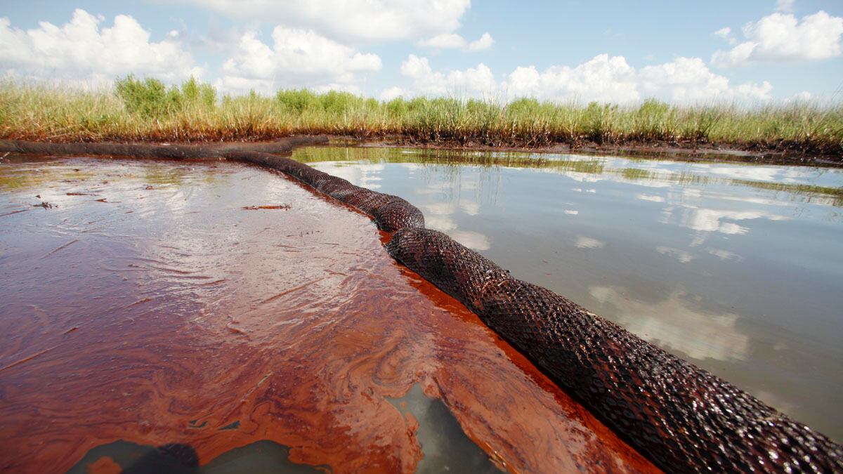 cheats/2011/12/29/u-s-preps-charges-in-bp-spill/us-preps-charges-bp-oil-spill-cheat_kvjgpe