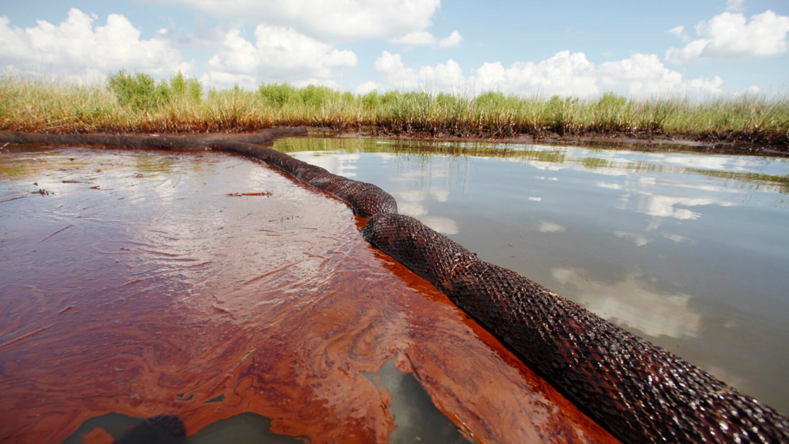 cheats/2011/12/29/u-s-preps-charges-in-bp-spill/us-preps-charges-bp-oil-spill-cheat_kvjgpe