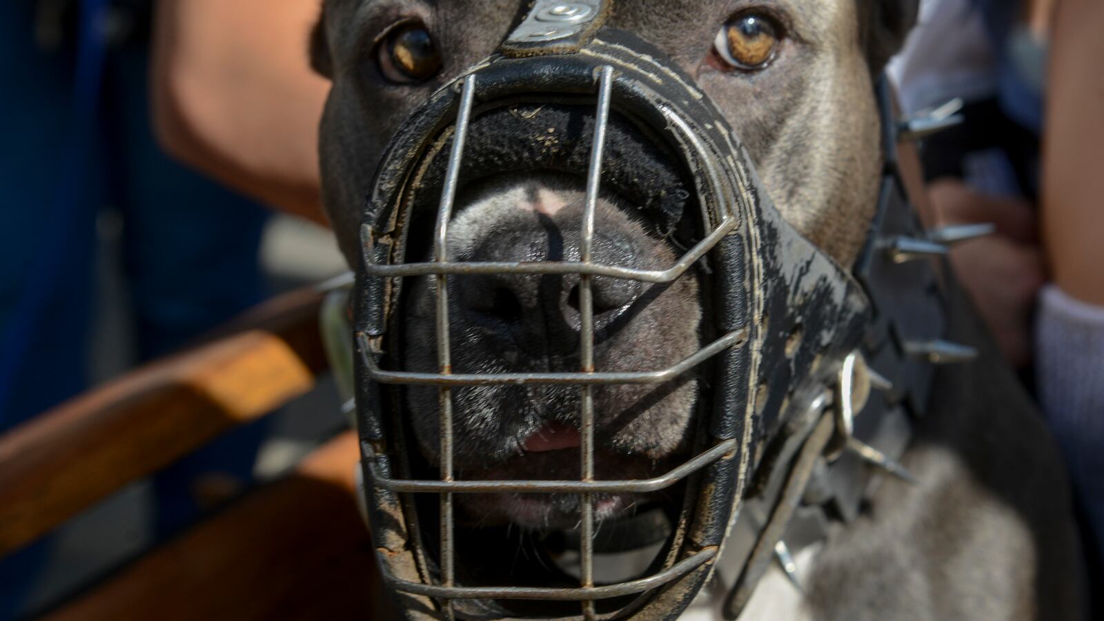 GettyImages-633013144_wcpg0j