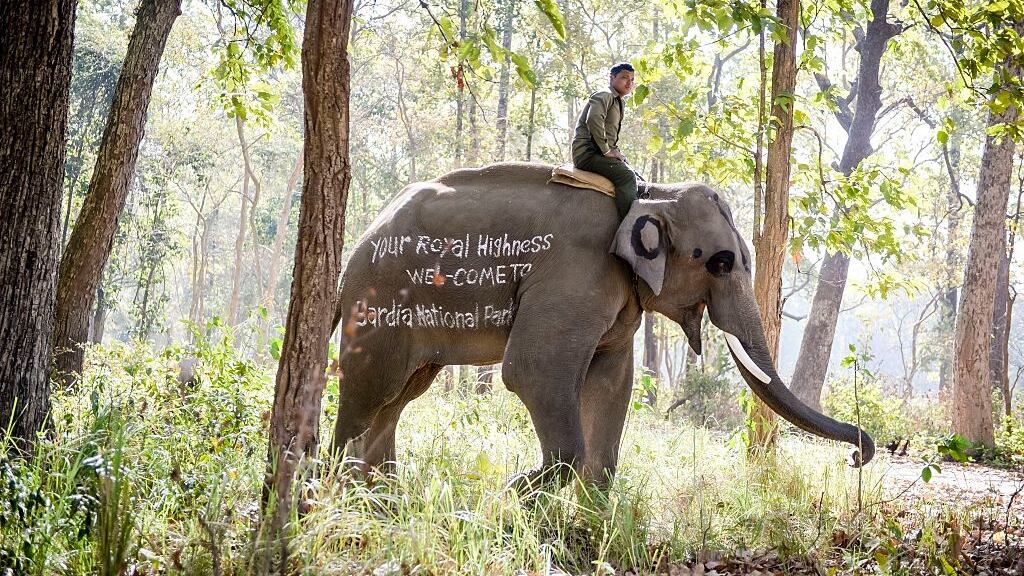 GettyImages-516783986_vcovgf