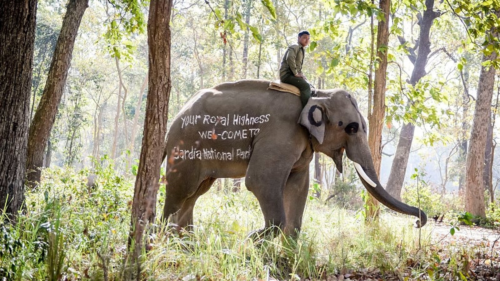 GettyImages-516783986_vcovgf