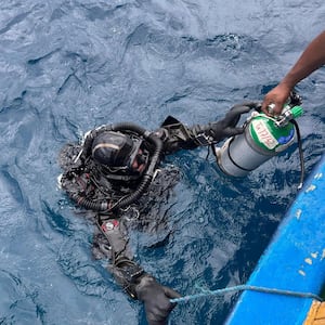 Diver