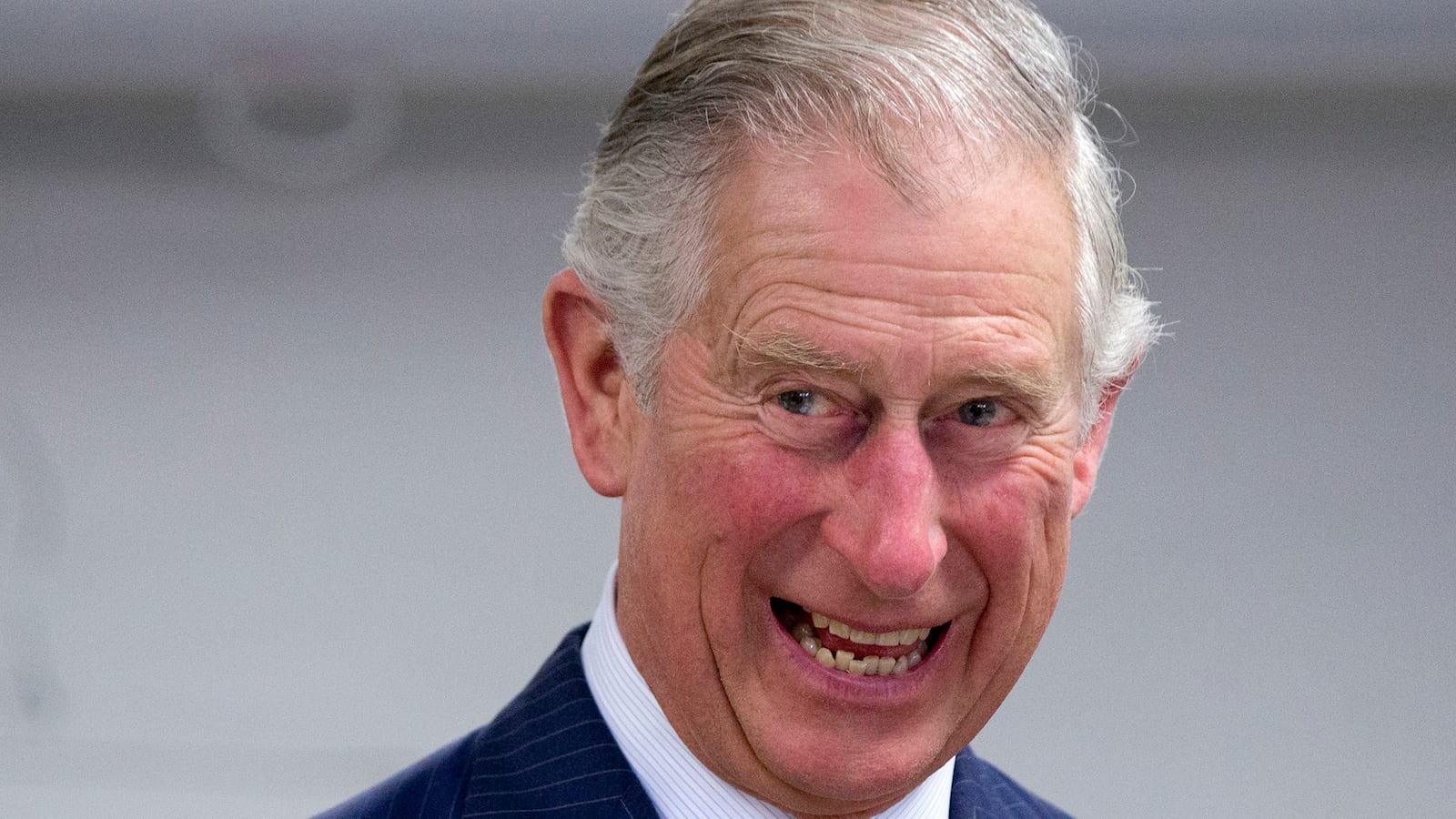 articles/2015/06/04/prince-charles-used-secret-letters-to-push-his-medical-quackery/150604-sykes-charles-tease_x9rq4x