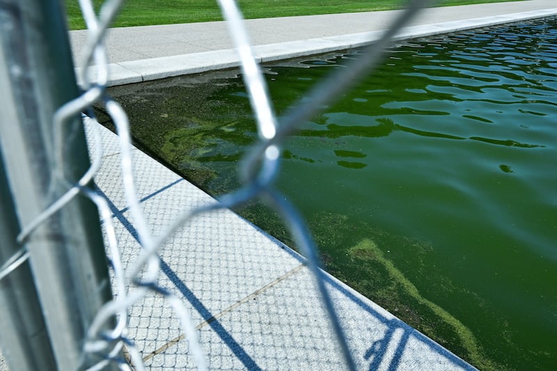 Debris floats in the water at the Lincoln Memorial Reflecting Pool