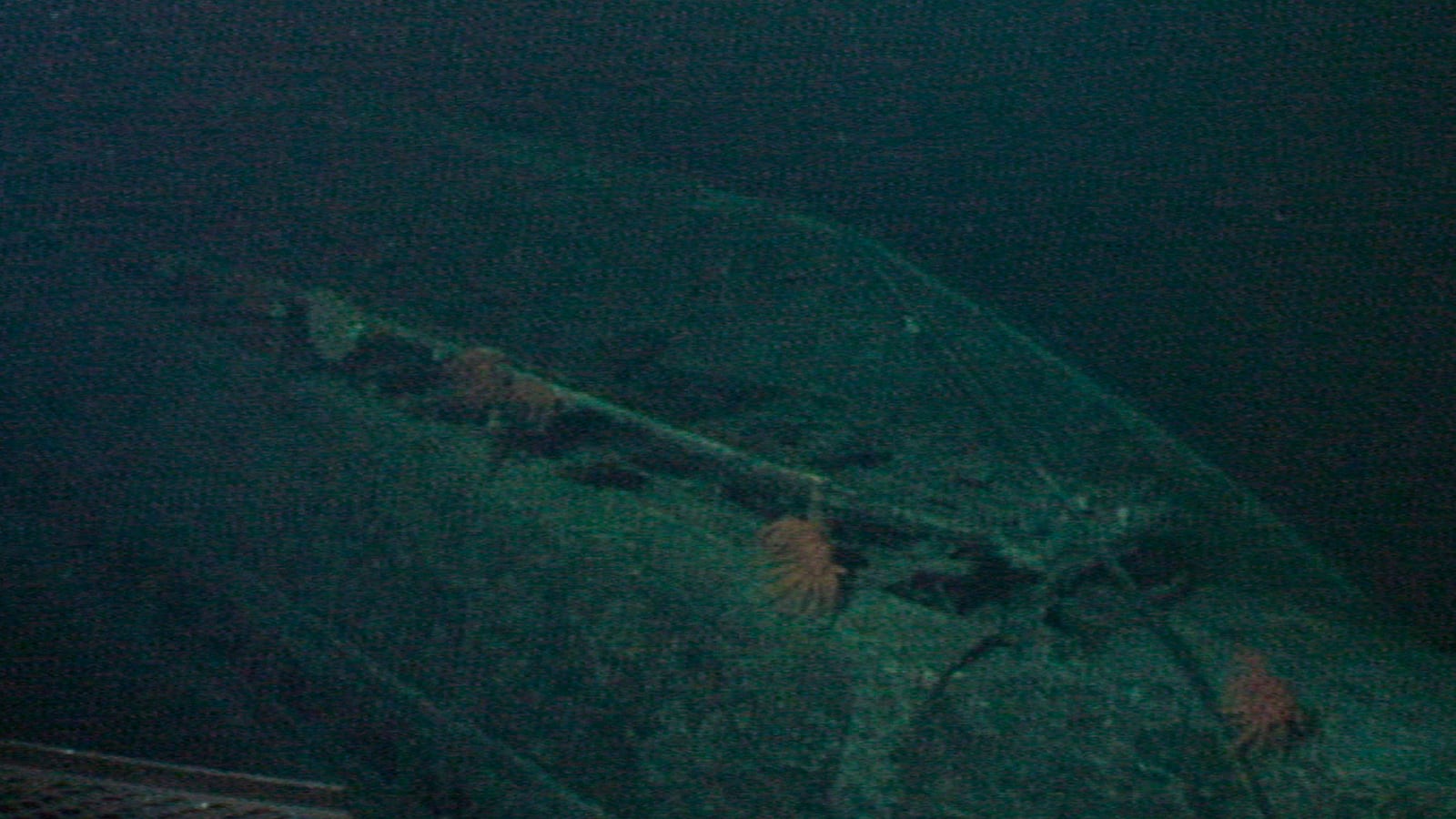 cheats/2013/12/03/wwii-japanese-sub-discovered/131203-japan-sub-cheat_wjjcyo