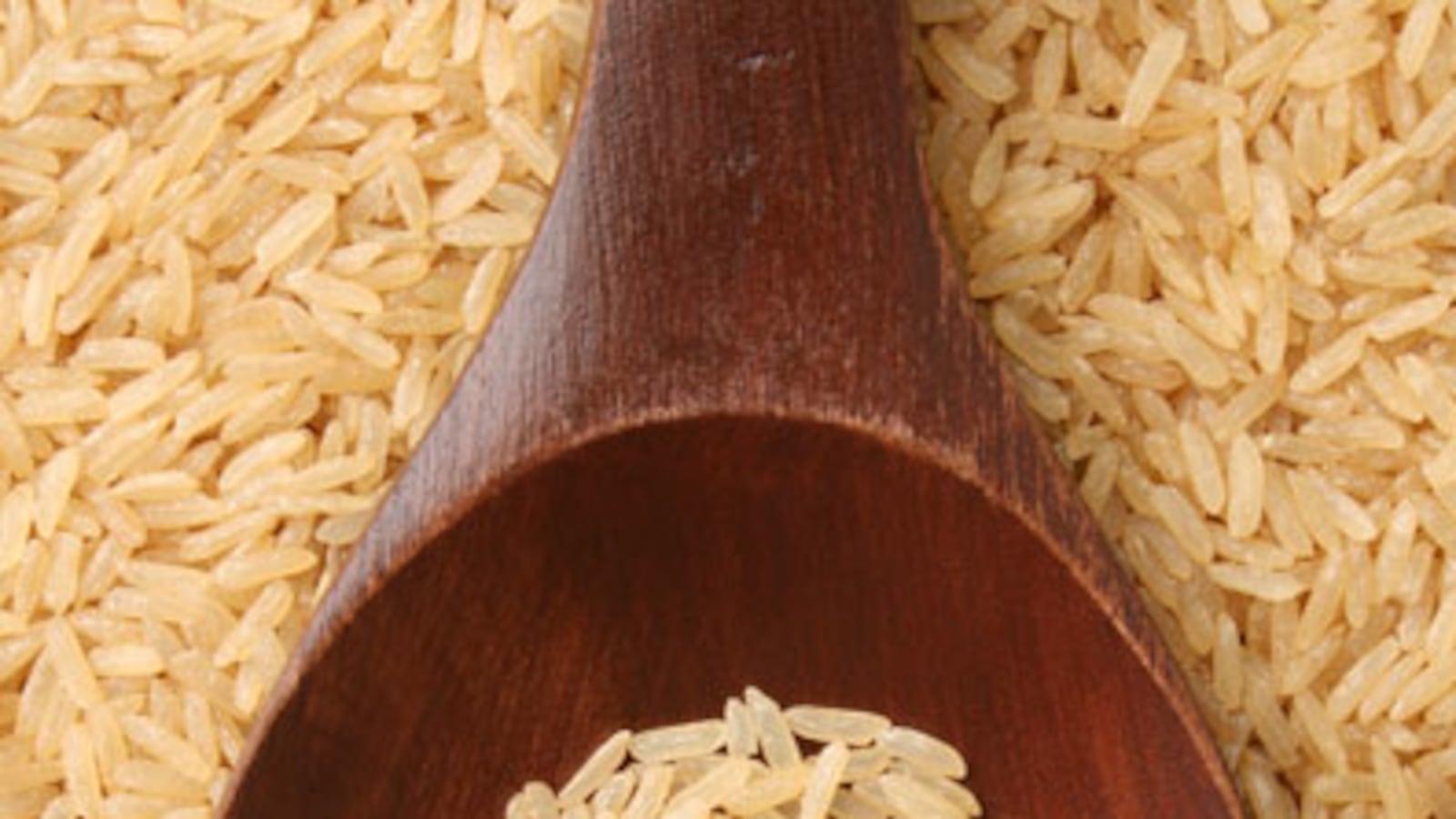 cheats/2009/07/07/new-rice-works-as-antihistamine/rice_fex7hx