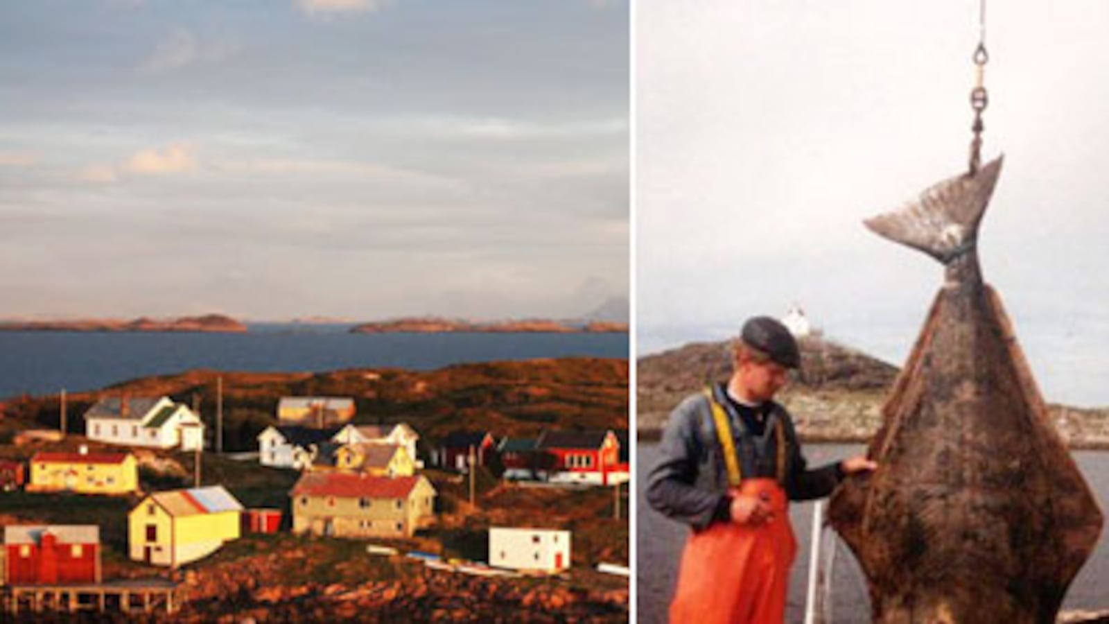 articles/2010/06/26/summer-food-dinner-in-norway/menin-summer-food-series-1_107140_giuo4i