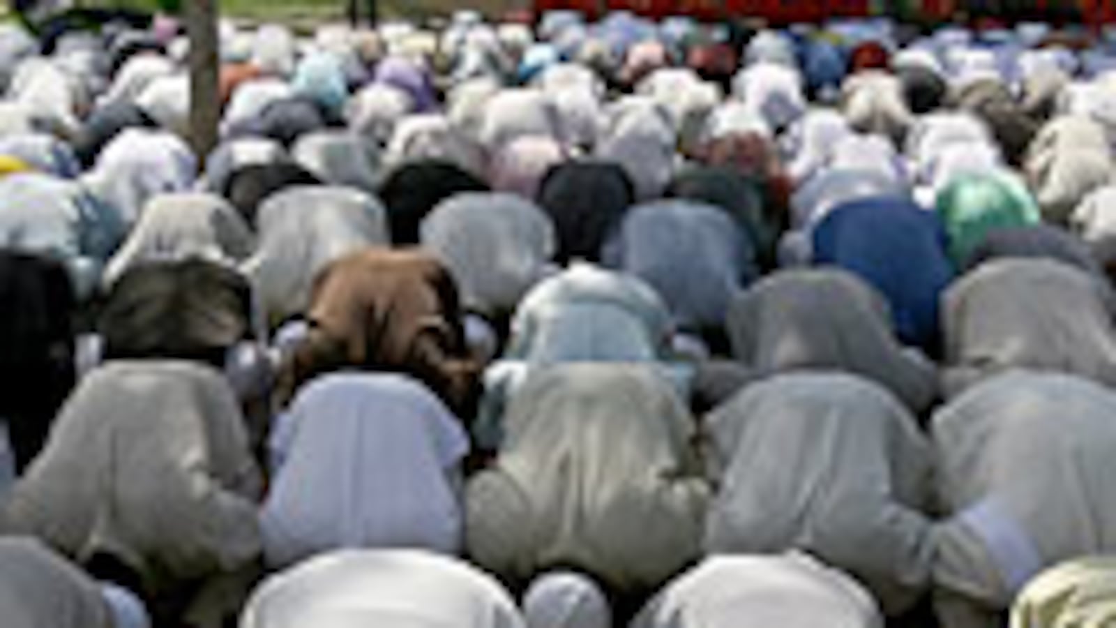 articles/2009/06/12/they-still-think-hes-muslim/avlon-obama-muslim_31833_u7ditf