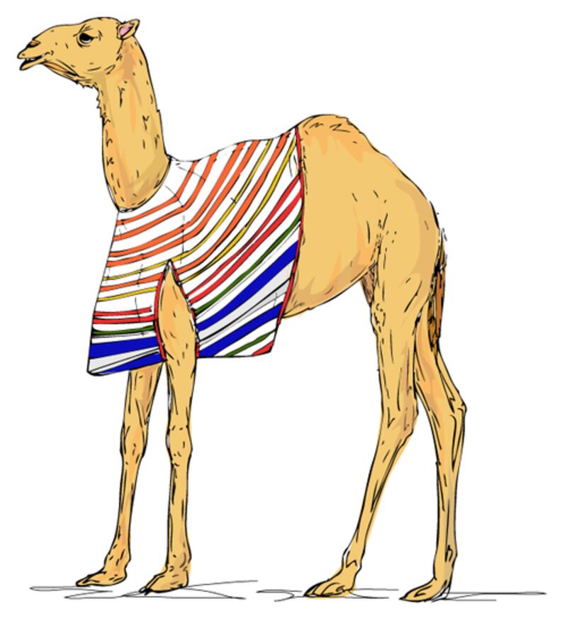 galleries/2013/01/10/wear-this-to-that-an-amazing-new-tumblr/camel-wear-this-to-that_slwwgj