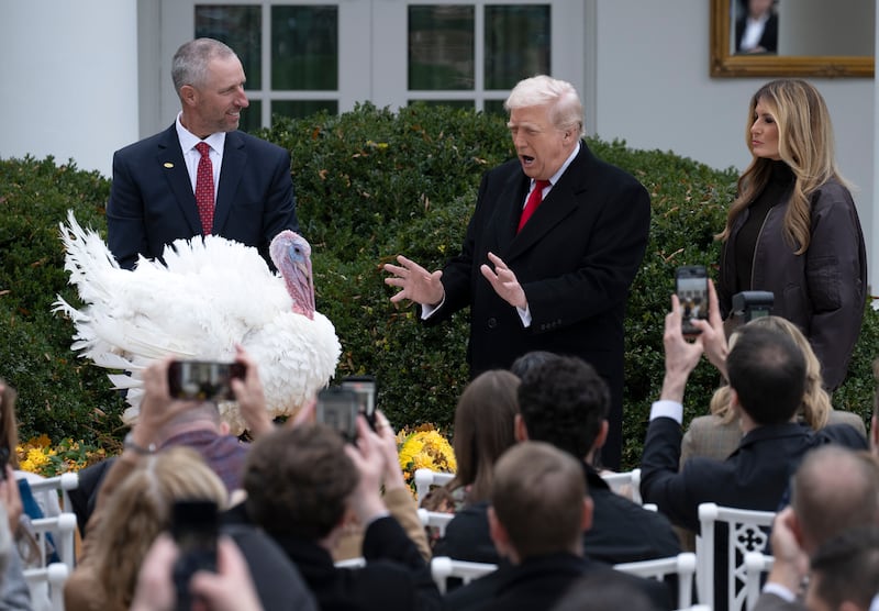 Trump formally pardons Gobble the turkey in the Rose Garden last November.