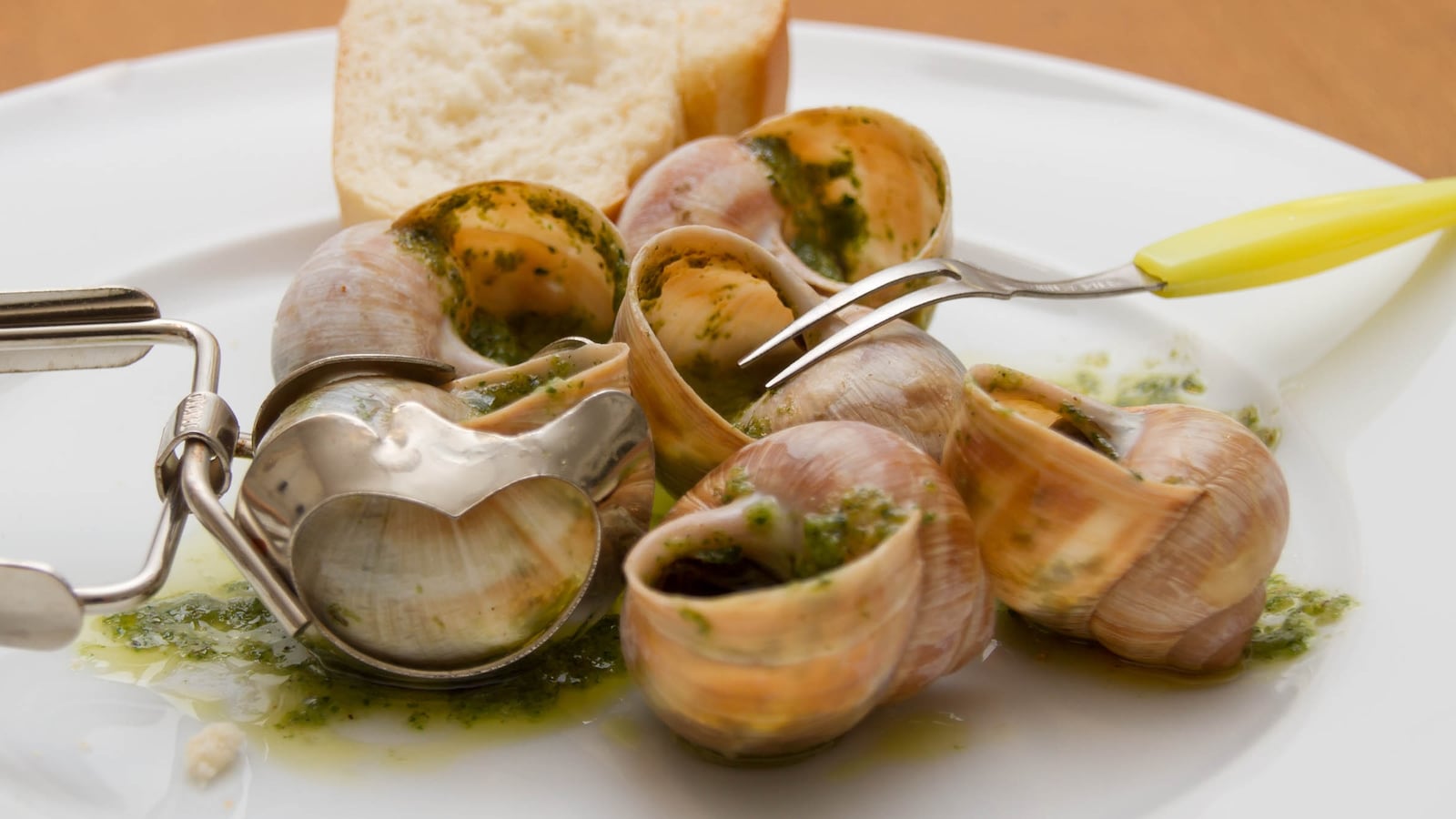 190516-escargot-tong-embed1_mkm173