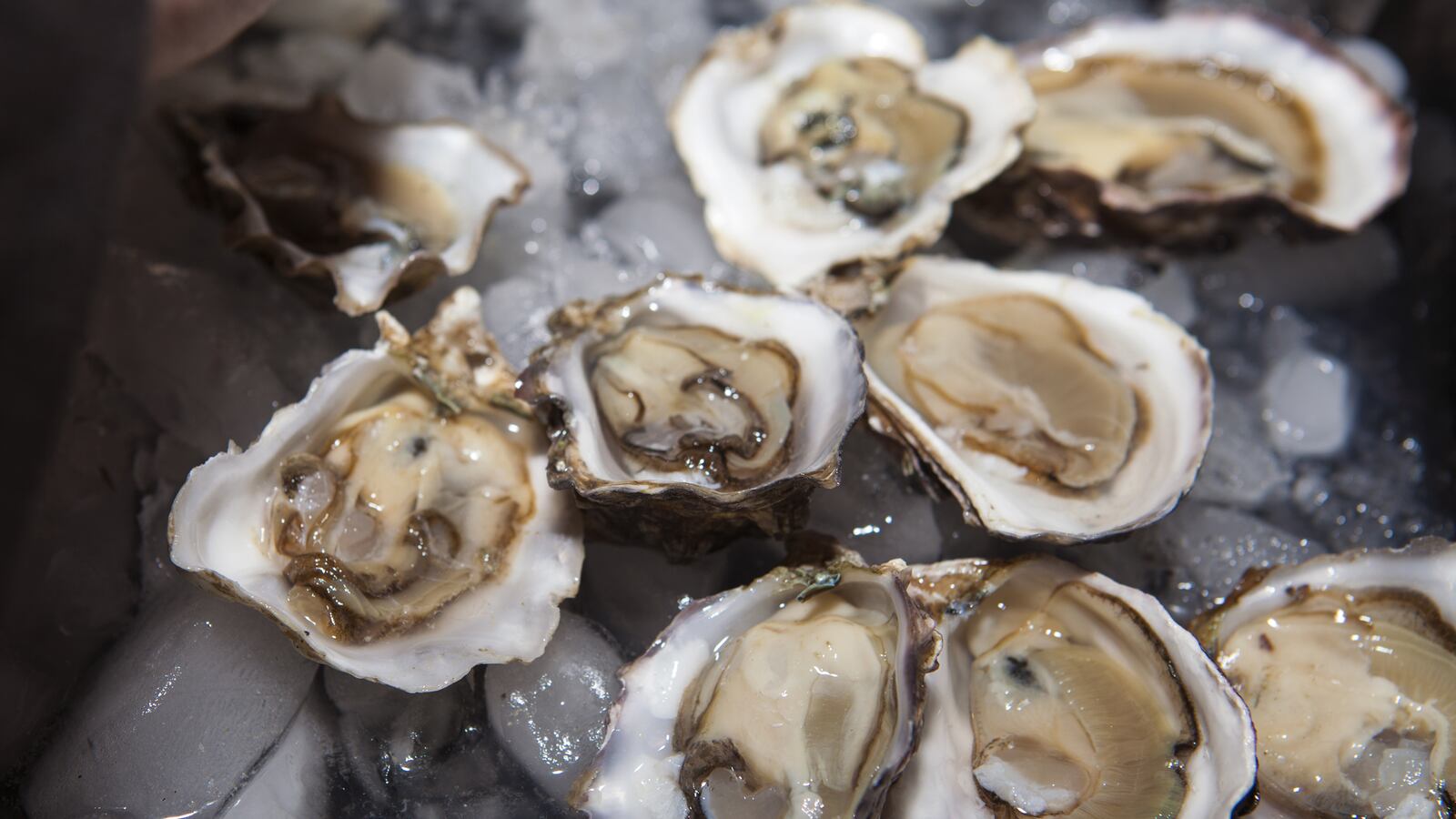 articles/2014/03/23/a-briny-south-carolina-oyster-shack/140321-roadfood-oyster-tease_zfcs9a