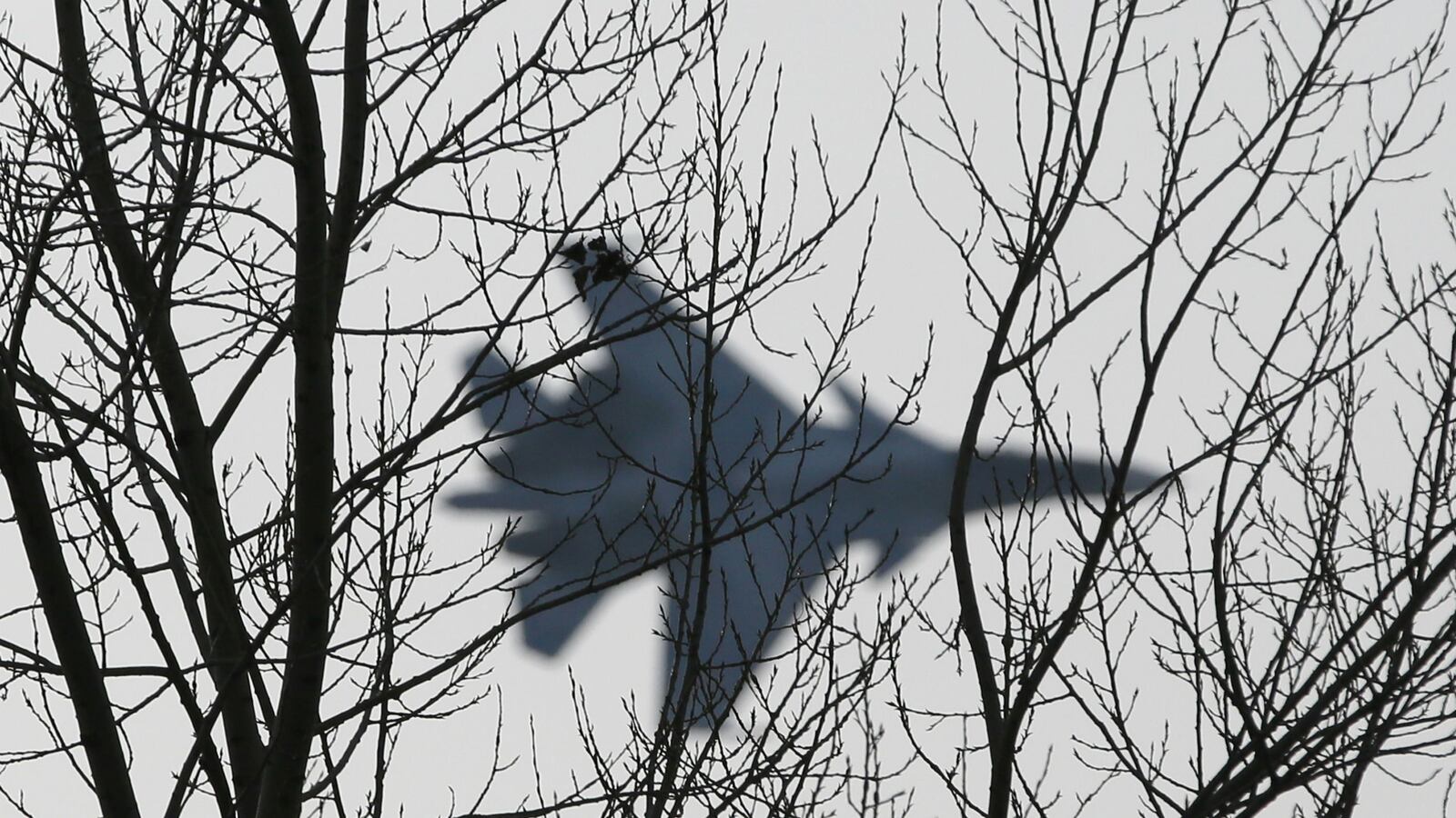 cheats/2015/10/07/u-s-jets-steer-clear-of-russians/151007-russian-jet-cheat_xpvf8j