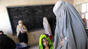 articles/2009/09/12/was-the-womens-vote-counted/gelb-pakistan-1_uhhpgi