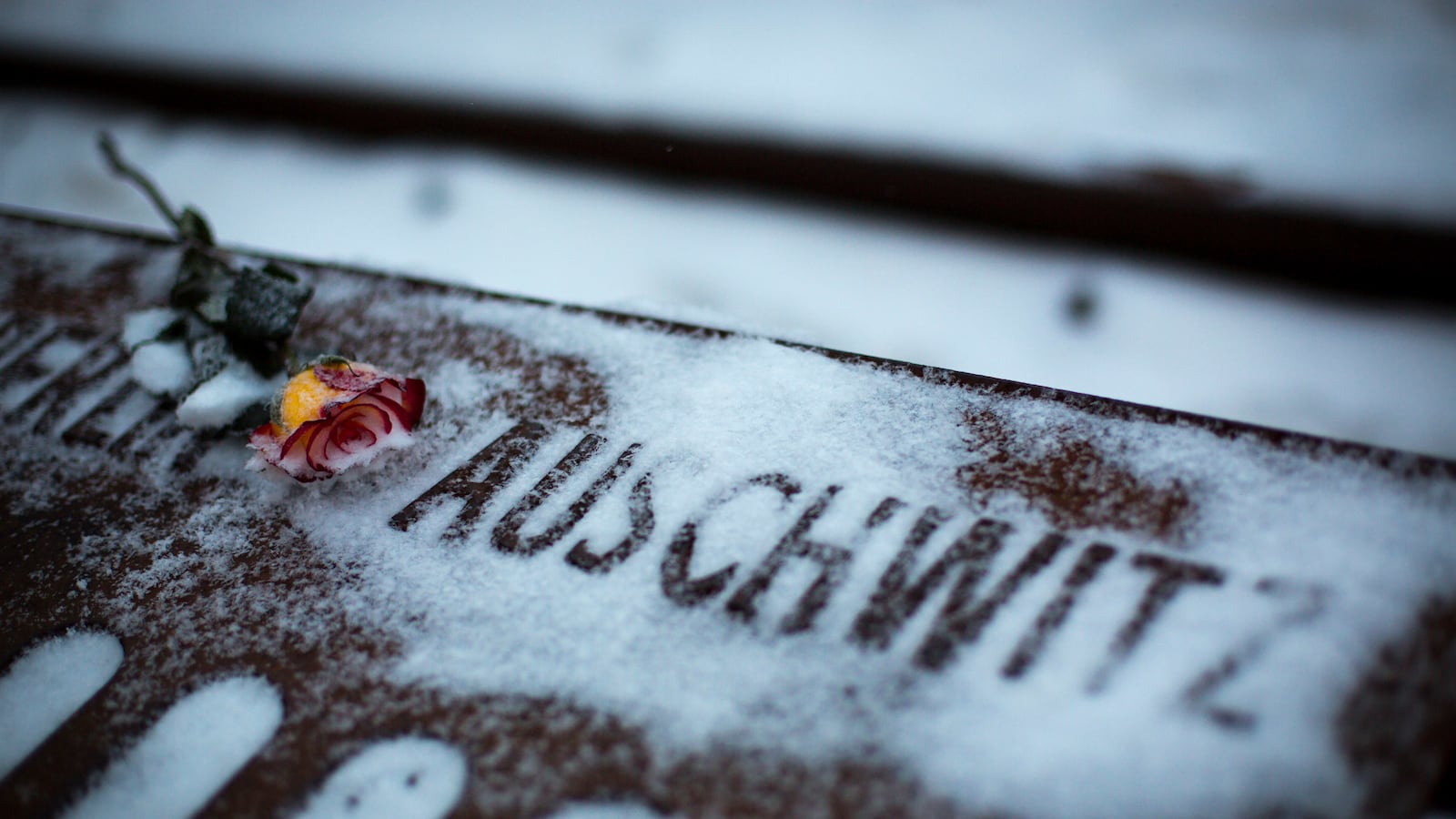 articles/2014/09/13/the-holocaust-s-forgotten-roma-victims/140912-raessi-holocaust-tease_cvxzc0