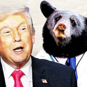 Donald Trump and a bear dressed as a doctor.