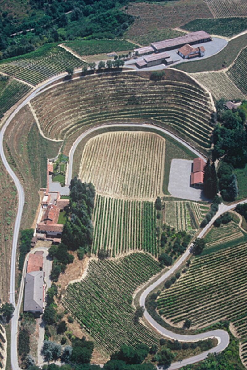 articles/2010/12/29/champagne-alternatives-prosecco-cava-and-cremant-wines/menin-sparkling-wine-2_uajpah