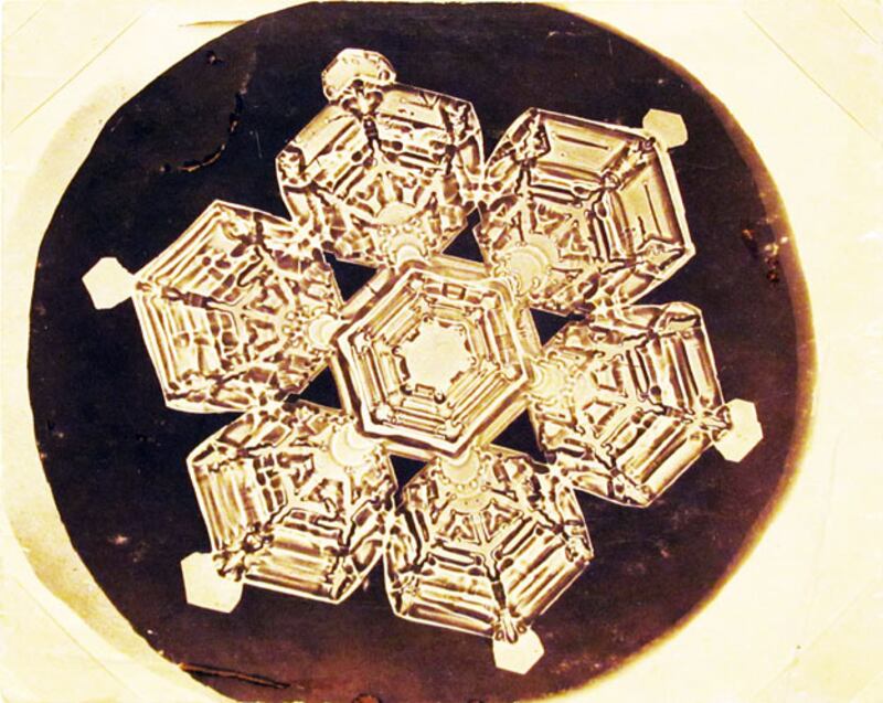 galleries/2010/01/26/the-art-of-the-snowflake/snow-crystals---8_tdkheb