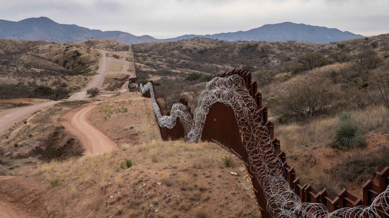 GettyImages-1096832044_rgdfqh