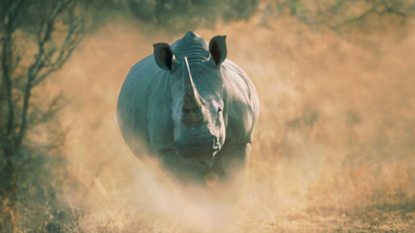 PSX_20181007_173536_hy4rr7