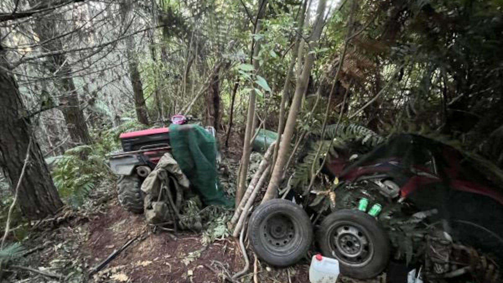 Eerie Photos Reveal Wilderness Campsite Where Fugitive Father Hid Kids For 4 Years