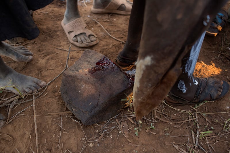 galleries/2014/11/29/inside-a-female-circumcision-ceremony-in-kenya-photos/141113-kenya-circumcision-06_umoxjo