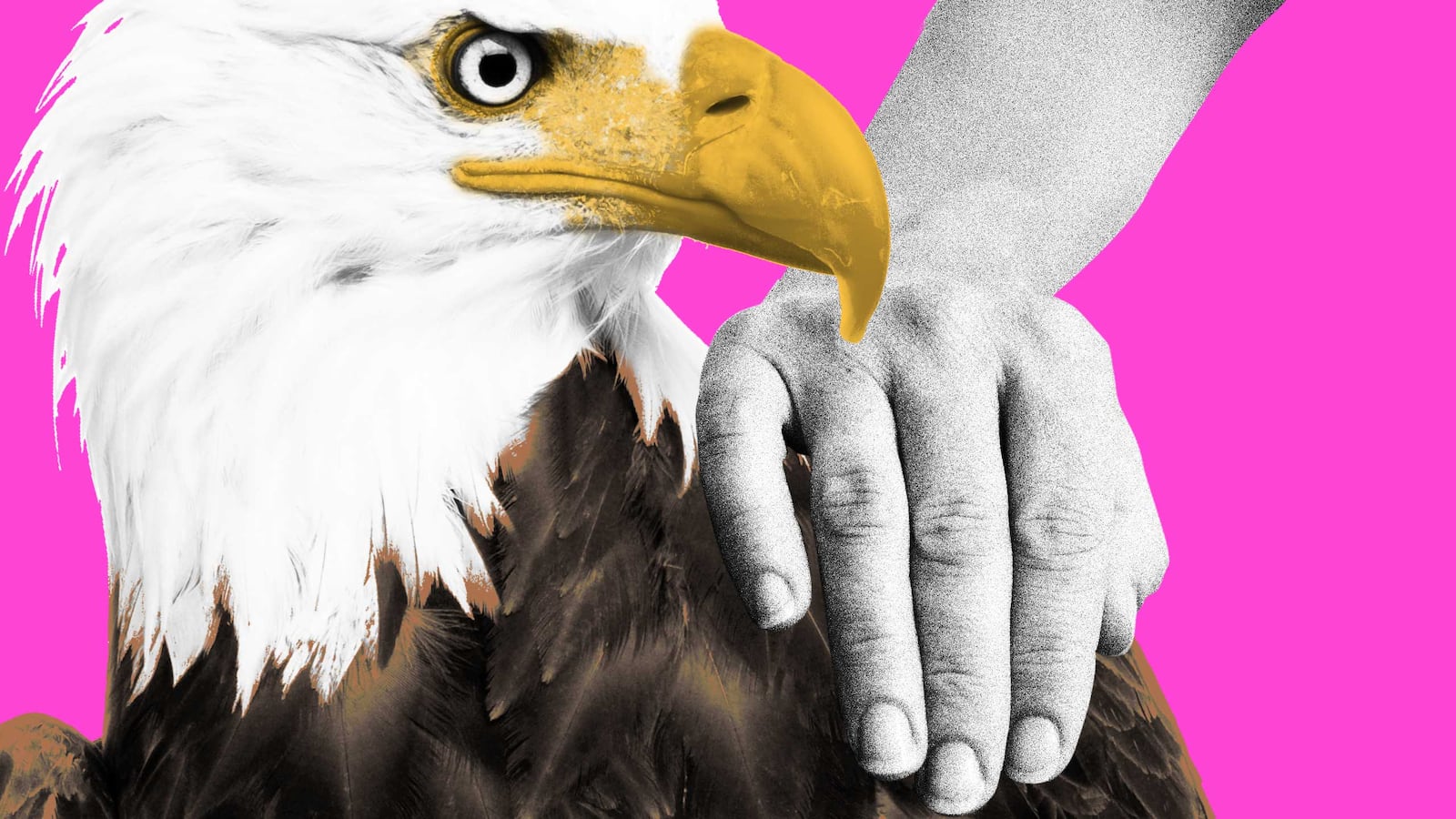 180722-mills-empathy-elections-2018-hero_xin2jy