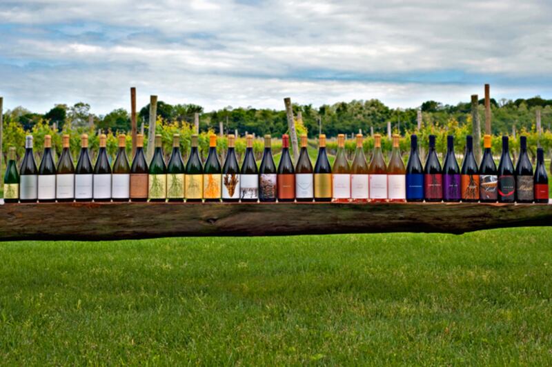 galleries/2010/10/14/annual-harvest-at-channing-daughters-winery/menin-wine-harvest-3_qkniow