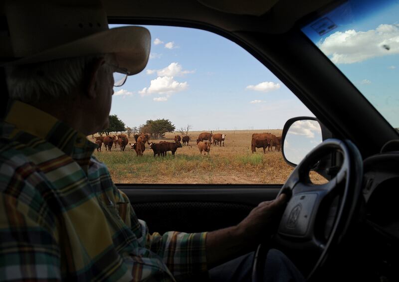 galleries/2012/08/09/praying-for-rain-at-sunshine-ranch-photos/texas-drought-5_ahkmgi