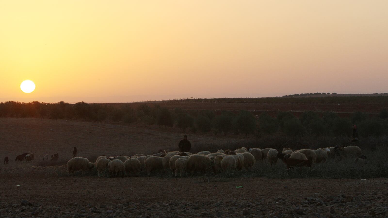 2010-11-17T000000Z_2138098494_GF2E6BE0YU901_RTRMADP_3_CLIMATE-SYRIA_y1j6qu