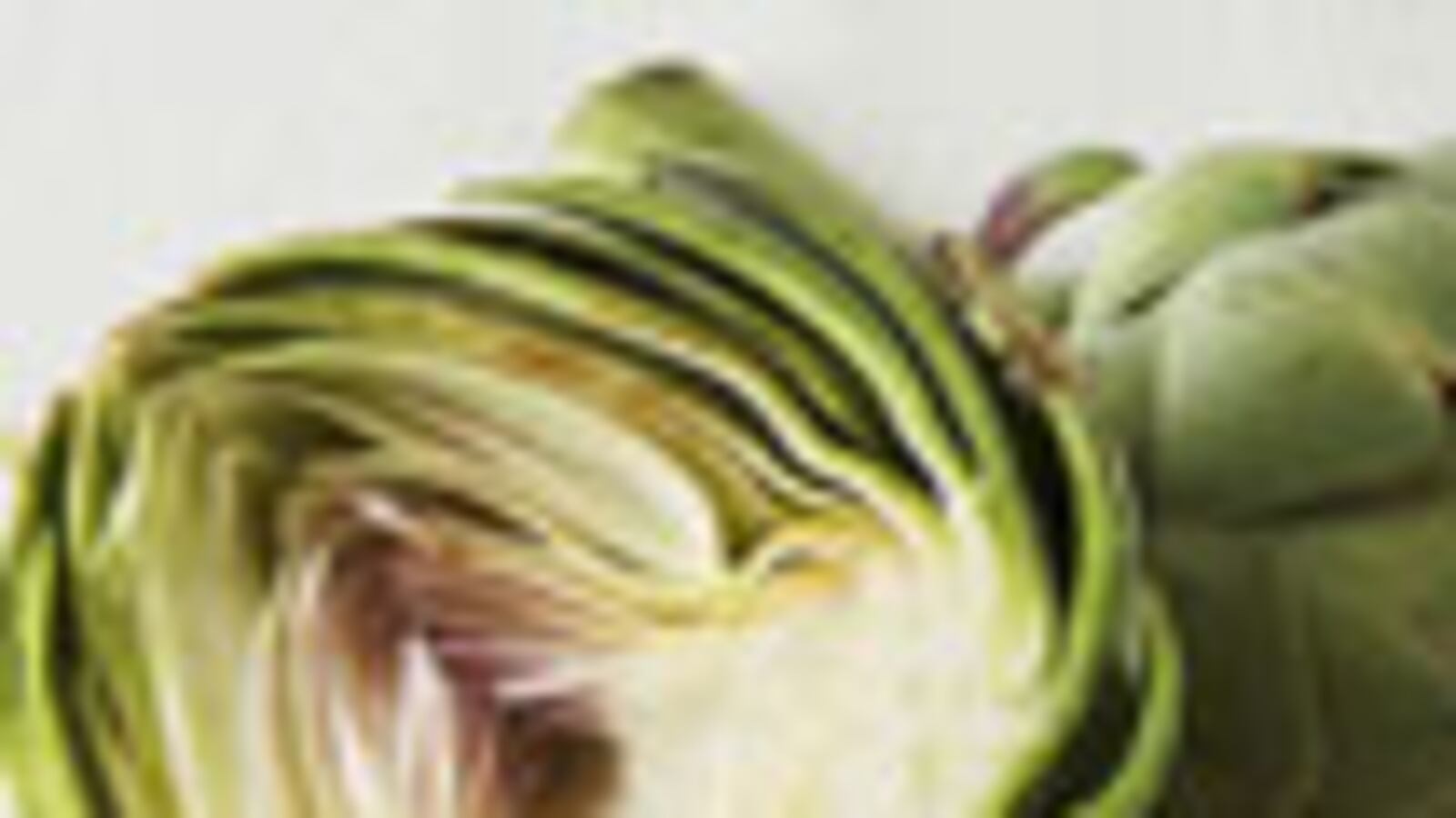 articles/2010/06/01/greek-food-recipes-for-a-light-meal/wte-greek---artichoke-soup_empbsa