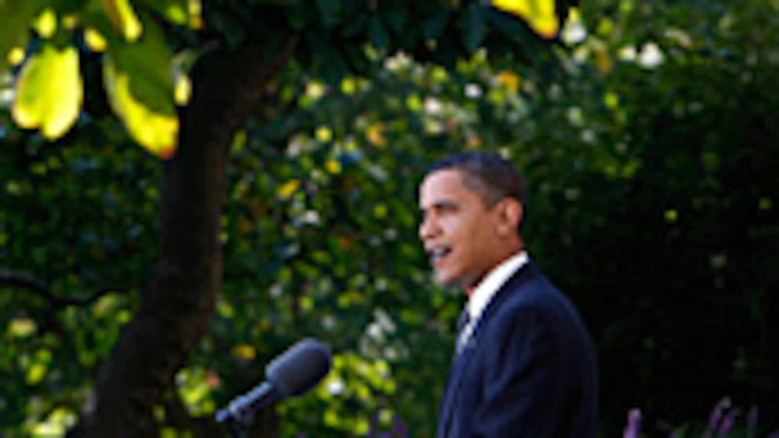 articles/2009/10/09/obamas-nobel-farce/beinart-obama-nobel_55104_gueygr