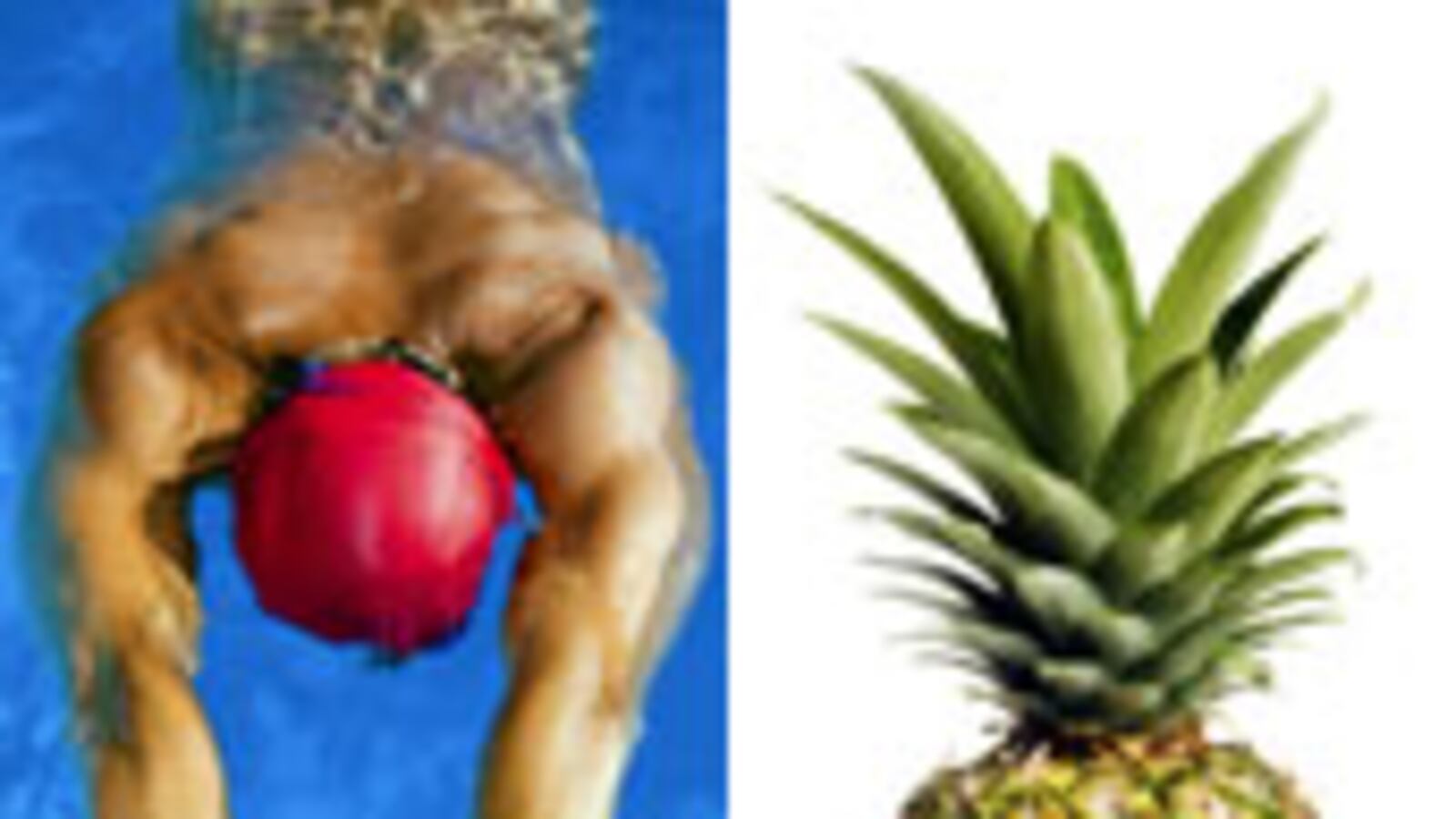 articles/2010/08/15/food-and-exercise-which-snacks-go-best-with-which-activities/gugnani-food-workout-combos_120237_ig9qtb