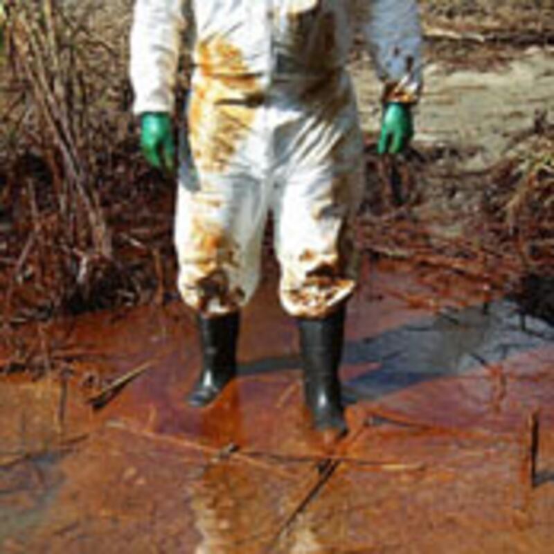 articles/2010/05/29/thad-allen-is-on-the-job-does-obama-need-a-czar-for-bp-disaster/salam-oil-czar_103667_pveowv