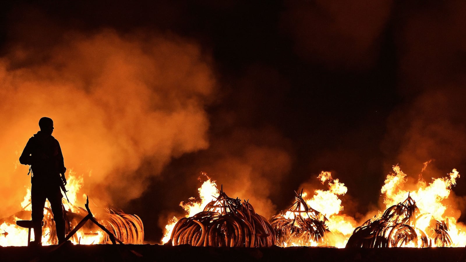videos/2016/05/02/kenya-burned-over-100-tons-of-ivory/160502-Place-Kenya-ivory-fire_orplgq